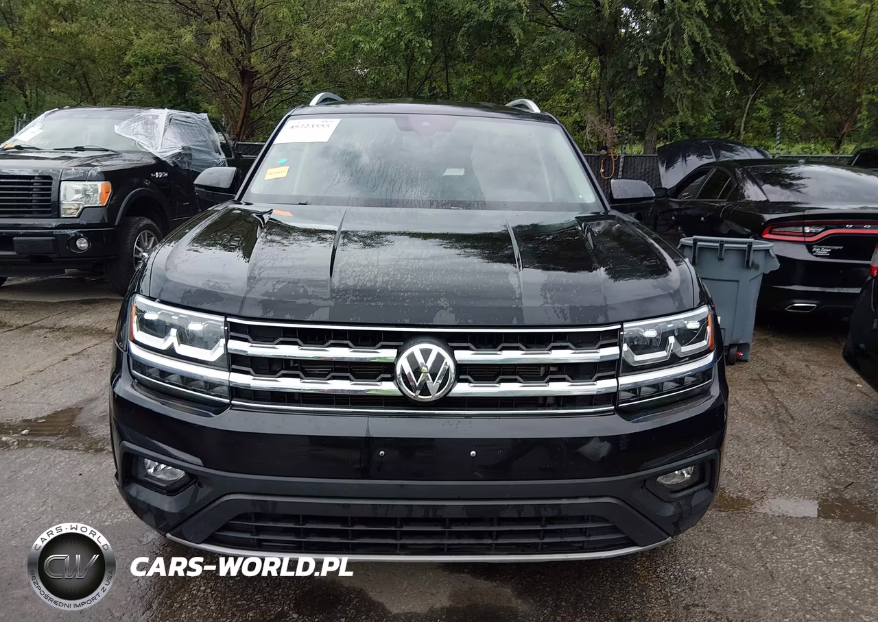 2019 Volkswagen Atlas 3.6L V6 Se W-Technology VIN:1V2WR2CA6KC560430 - 12