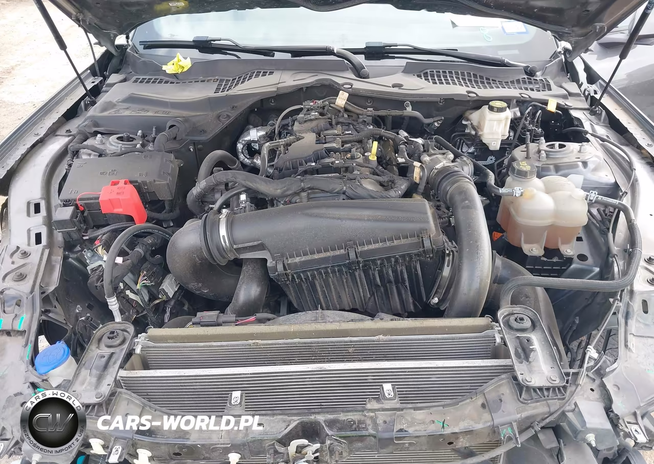 2024 Ford Mustang Ecoboost Premium Fastback VIN:1FA6P8THXR5121288 - 10