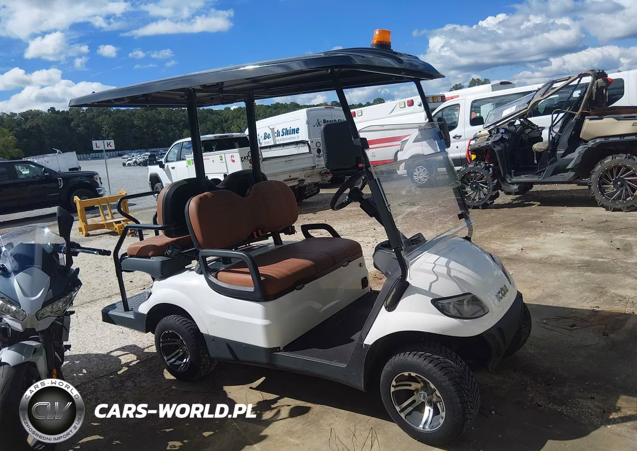 2023 Golf Cart Cruise Car C40