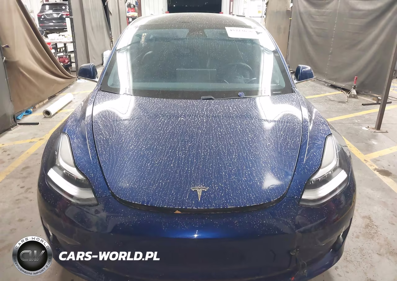 2020 Tesla Model 3 Long Range Dual Motor All-Wheel Drive VIN:5YJ3E1EB1LF636365 - 10