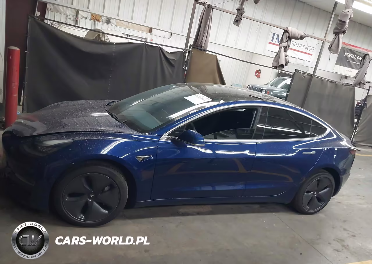 2020 Tesla Model 3 Long Range Dual Motor All-Wheel Drive VIN:5YJ3E1EB1LF636365 - 12