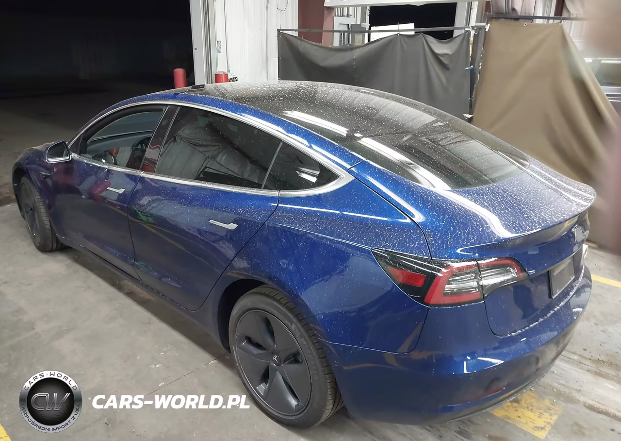 2020 Tesla Model 3 Long Range Dual Motor All-Wheel Drive VIN:5YJ3E1EB1LF636365 - 3