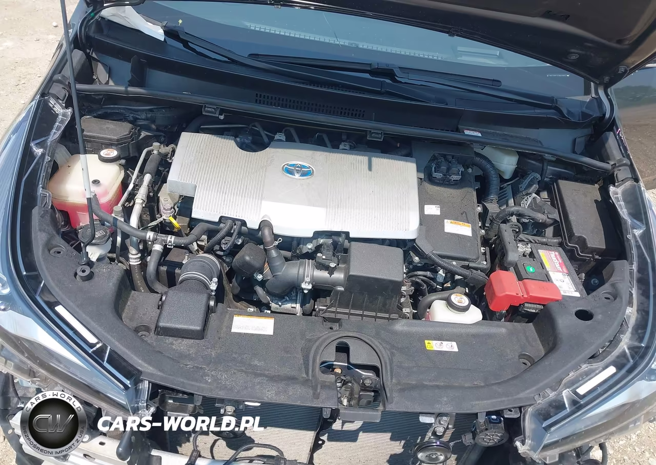 2019 Toyota Prius Limited VIN:JTDKARFUXK3097326 - 10
