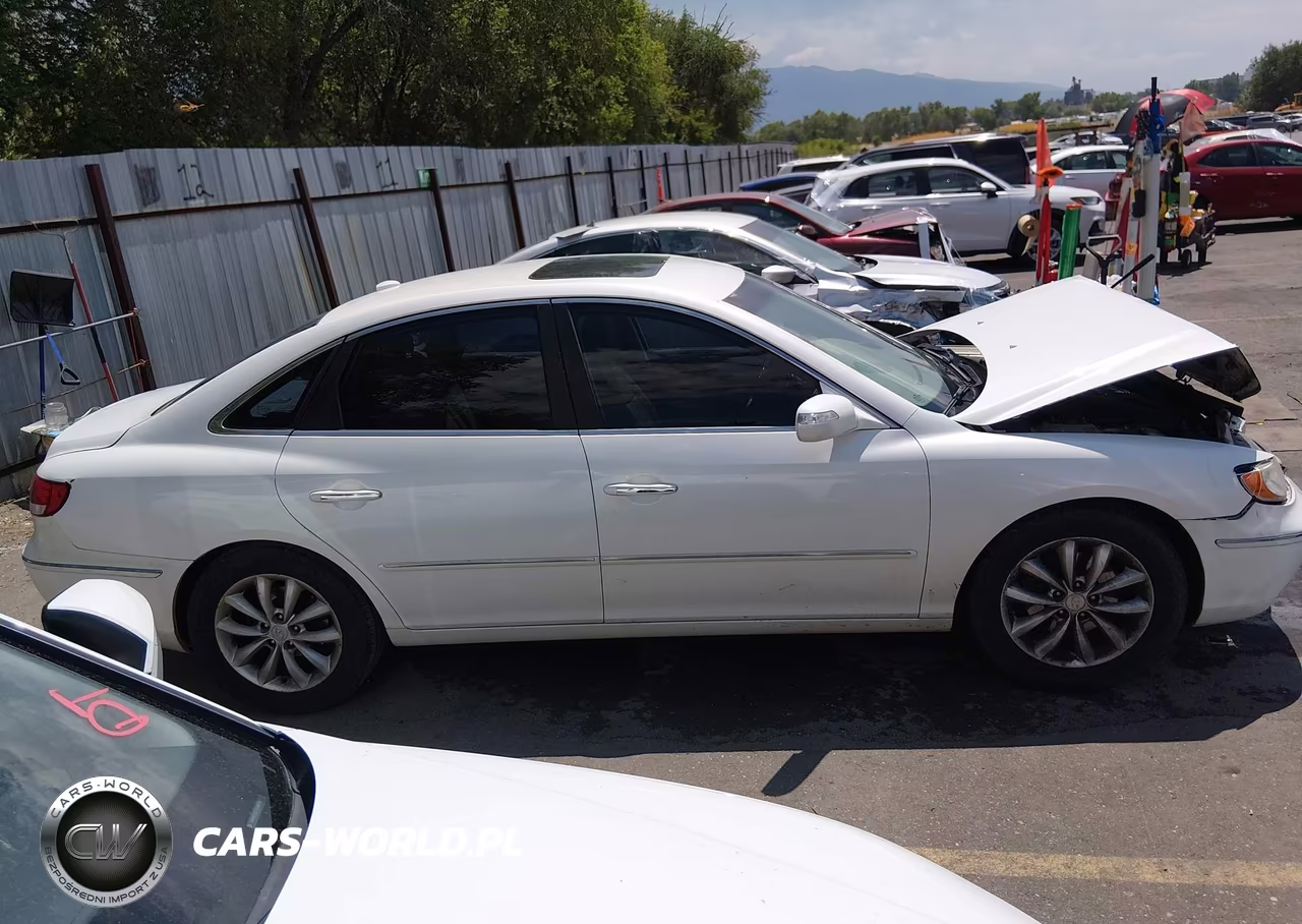 2008 Hyundai Azera Limited VIN:KMHFC46F28A332186 - 13