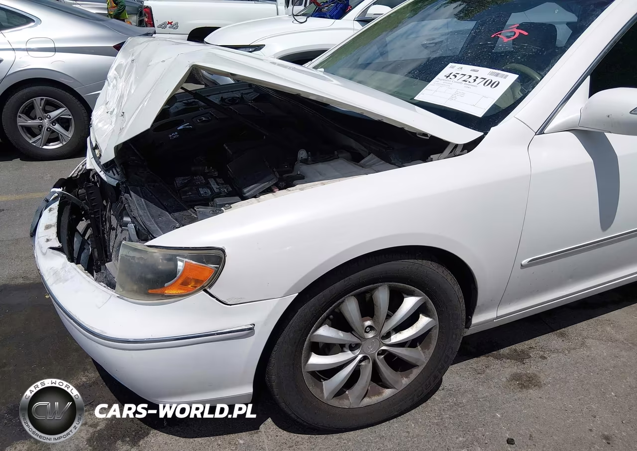 2008 Hyundai Azera Limited VIN:KMHFC46F28A332186 - 6