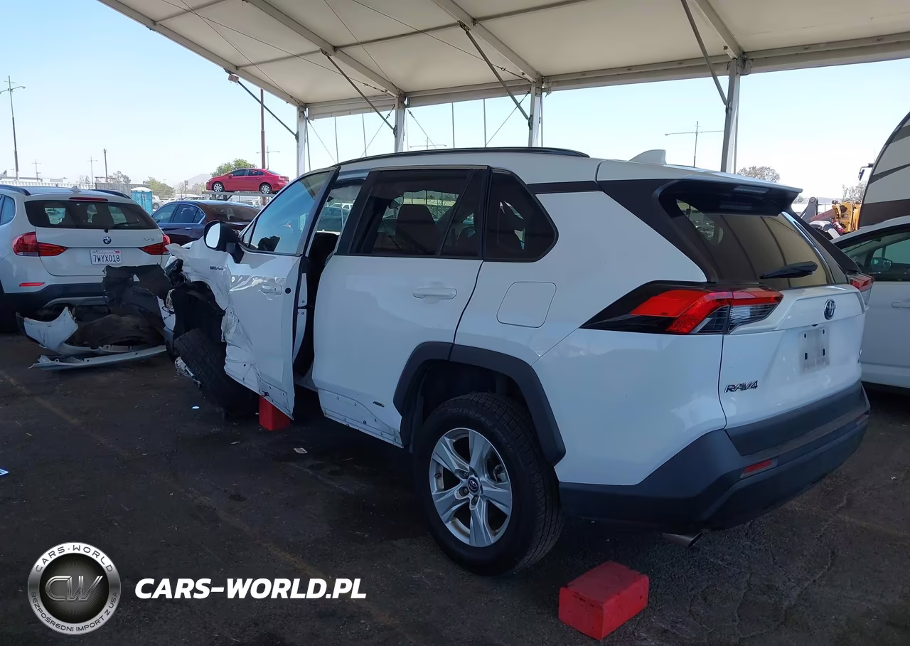 2019 Toyota Rav4 Hybrid Le VIN:2T3LWRFV6KW043369 - 3