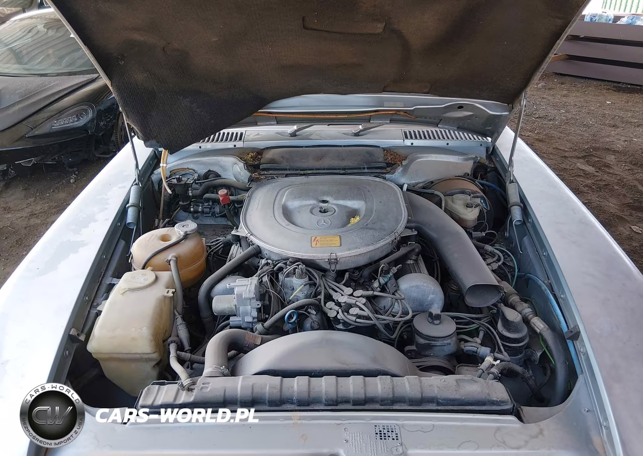 1984 Mercedes-Benz 380 Sl VIN:WDBBA45A9EA008418 - 10