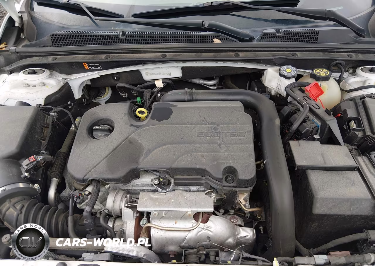 2023 Chevrolet Malibu Fwd Ls VIN:1G1ZB5ST0PF121150 - 10