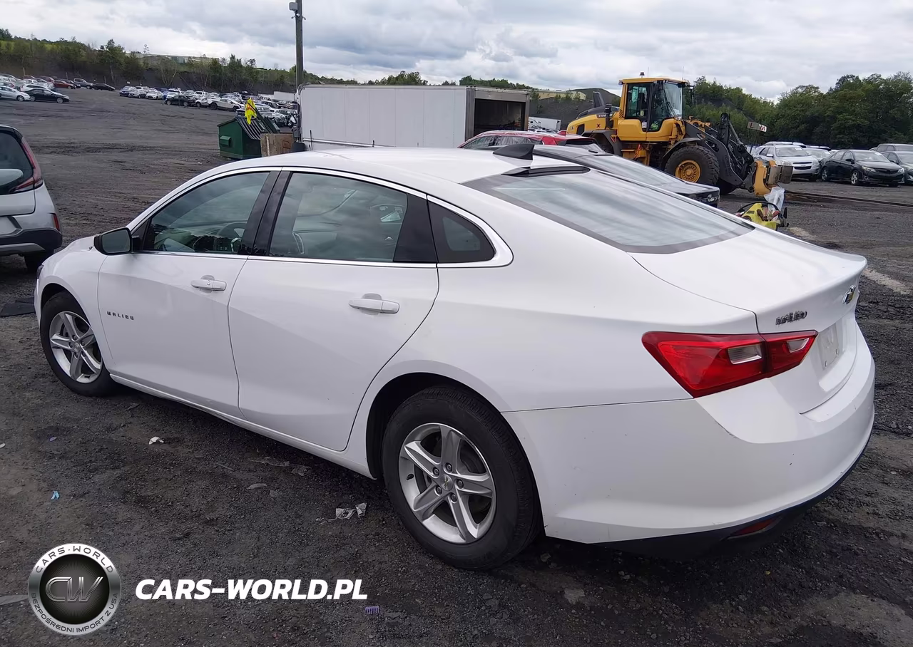 2023 Chevrolet Malibu Fwd Ls VIN:1G1ZB5ST0PF121150 - 3