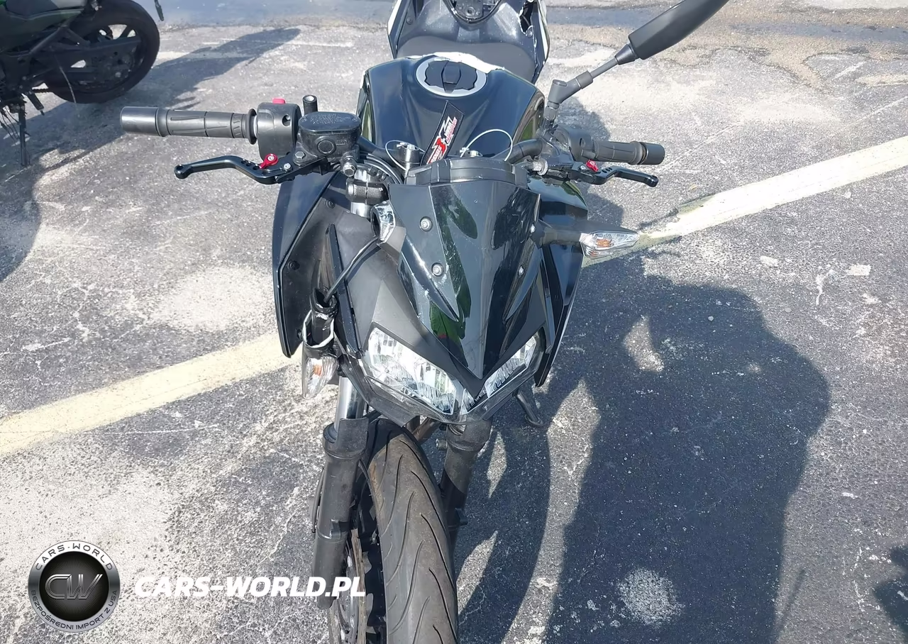 2023 Kawasaki Er400 D VIN:JKAERKD14PDAM2987 - 18