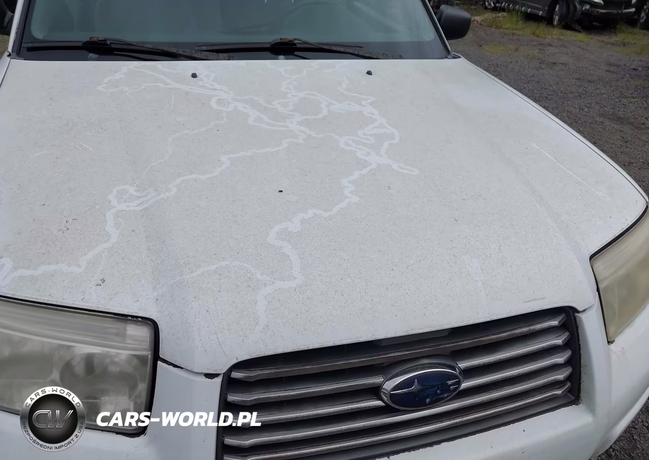 2006 Subaru Forester 2.5X VIN:JF1SG63656H743907 - 10