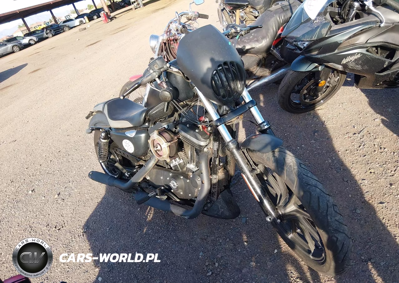 2019 Harley-Davidson Xl883 N – zdjęcie 1 z 18