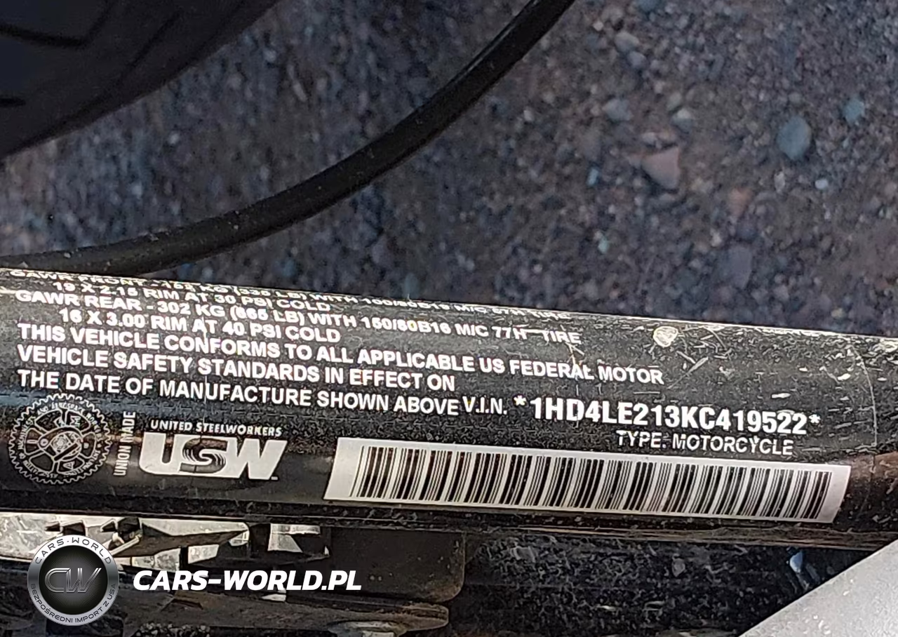 2019 Harley-Davidson Xl883 N VIN:1HD4LE213KC419522 - 10