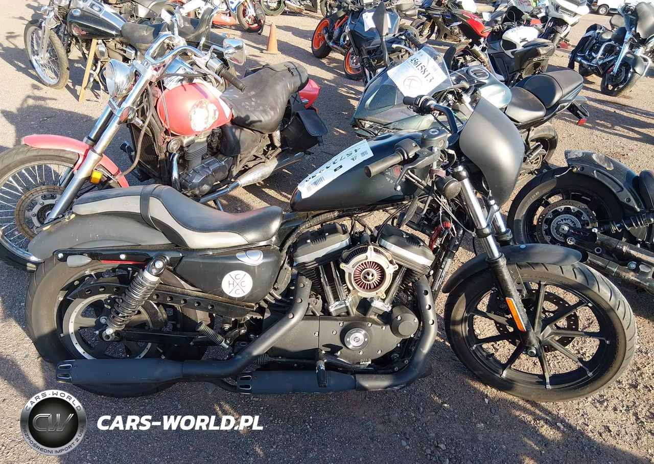 2019 Harley-Davidson Xl883 N VIN:1HD4LE213KC419522 - 12