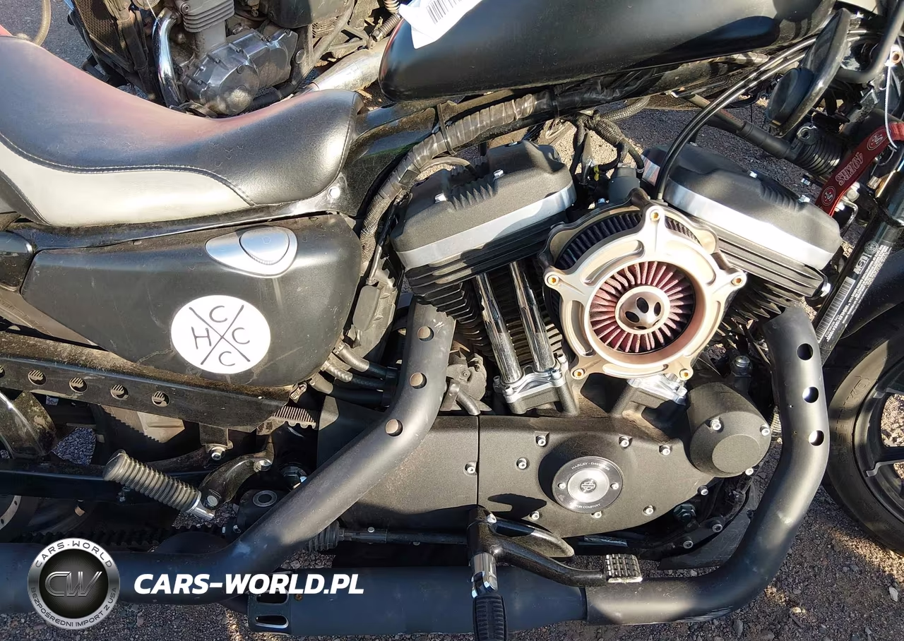 2019 Harley-Davidson Xl883 N VIN:1HD4LE213KC419522 - 8