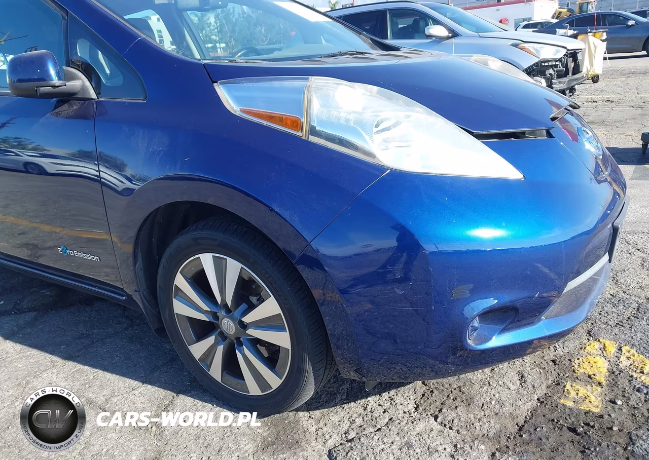 2016 Nissan Leaf Sv VIN:1N4BZ0CP3GC300346 - 16