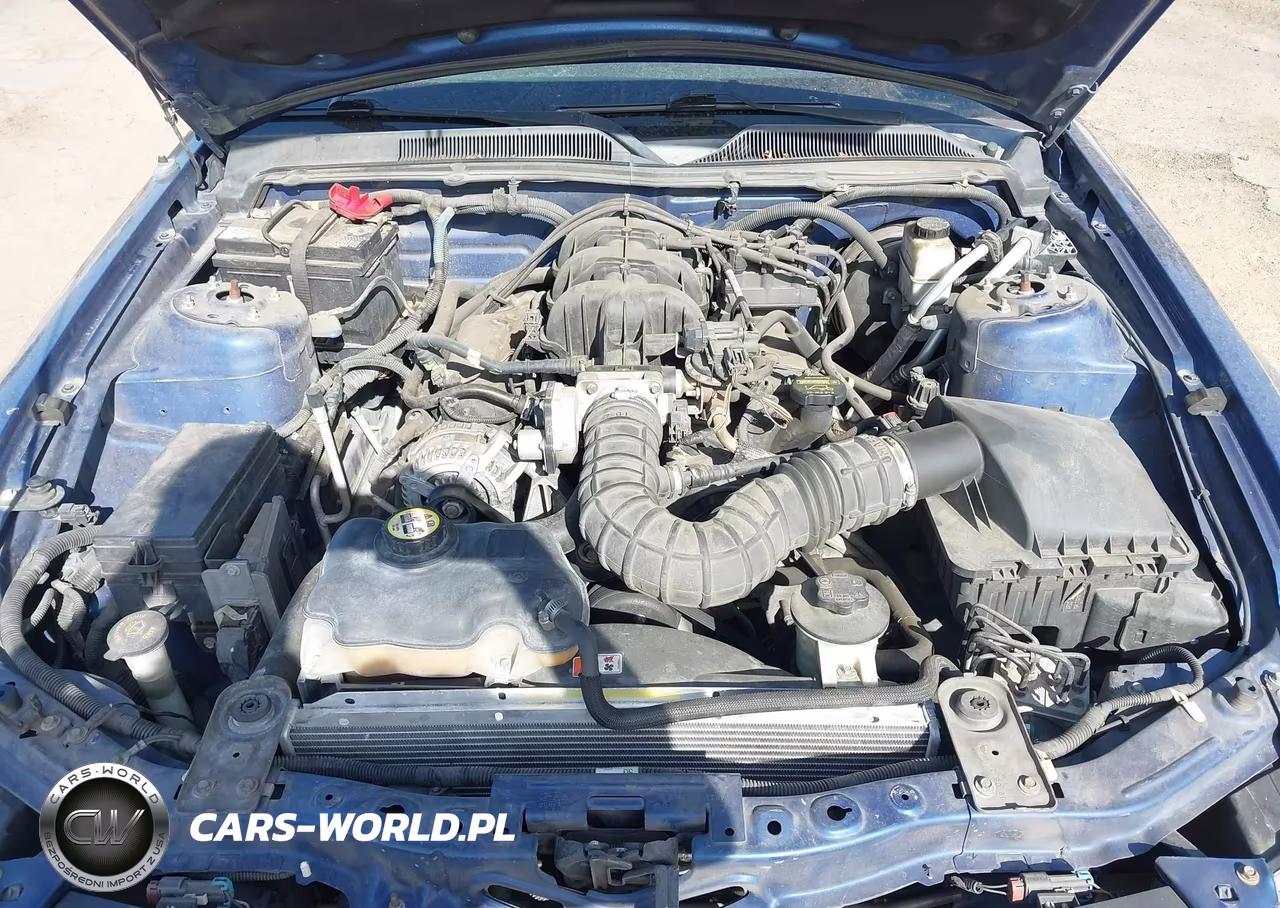2009 Ford Mustang V6-V6 Premium VIN:1ZVHT80N495119591 - 10