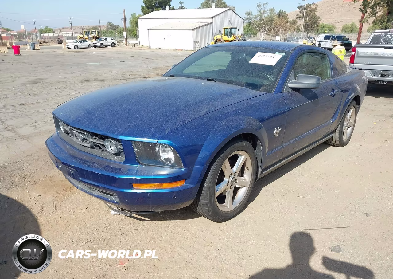 2009 Ford Mustang V6-V6 Premium VIN:1ZVHT80N495119591 - 2