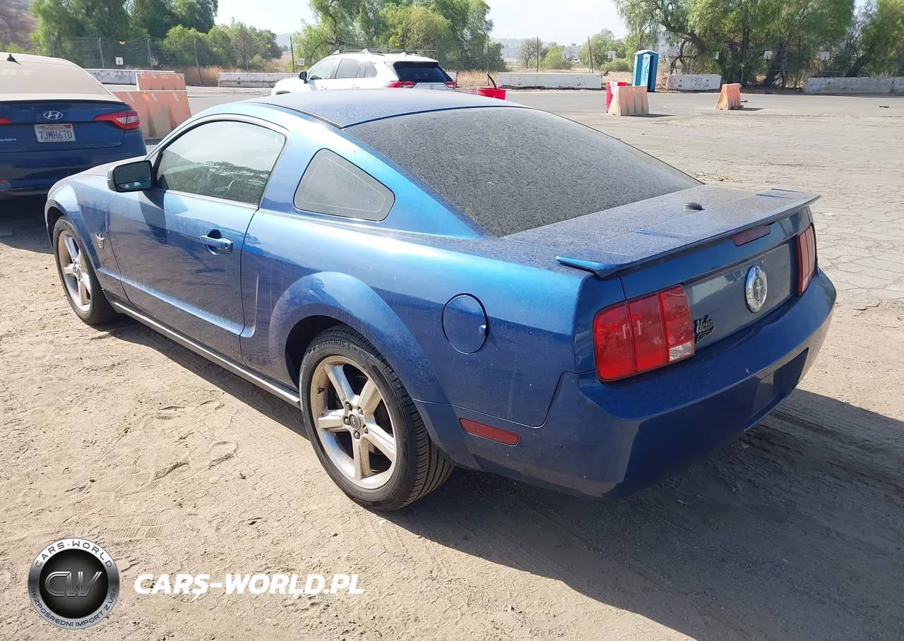 2009 Ford Mustang V6-V6 Premium VIN:1ZVHT80N495119591 - 3