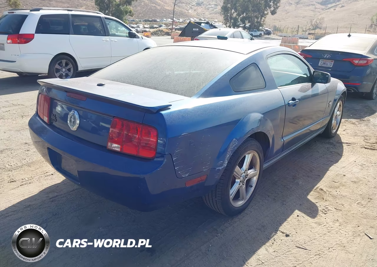 2009 Ford Mustang V6-V6 Premium VIN:1ZVHT80N495119591 - 4