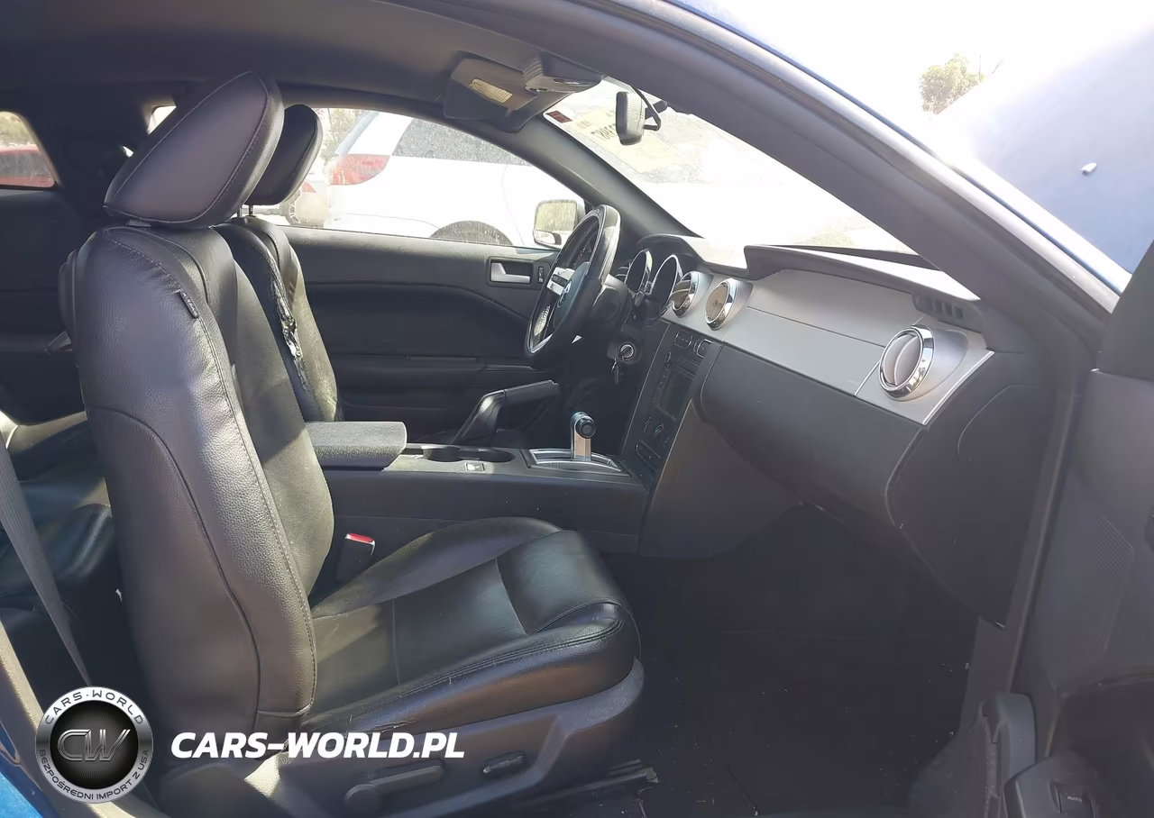 2009 Ford Mustang V6-V6 Premium VIN:1ZVHT80N495119591 - 5