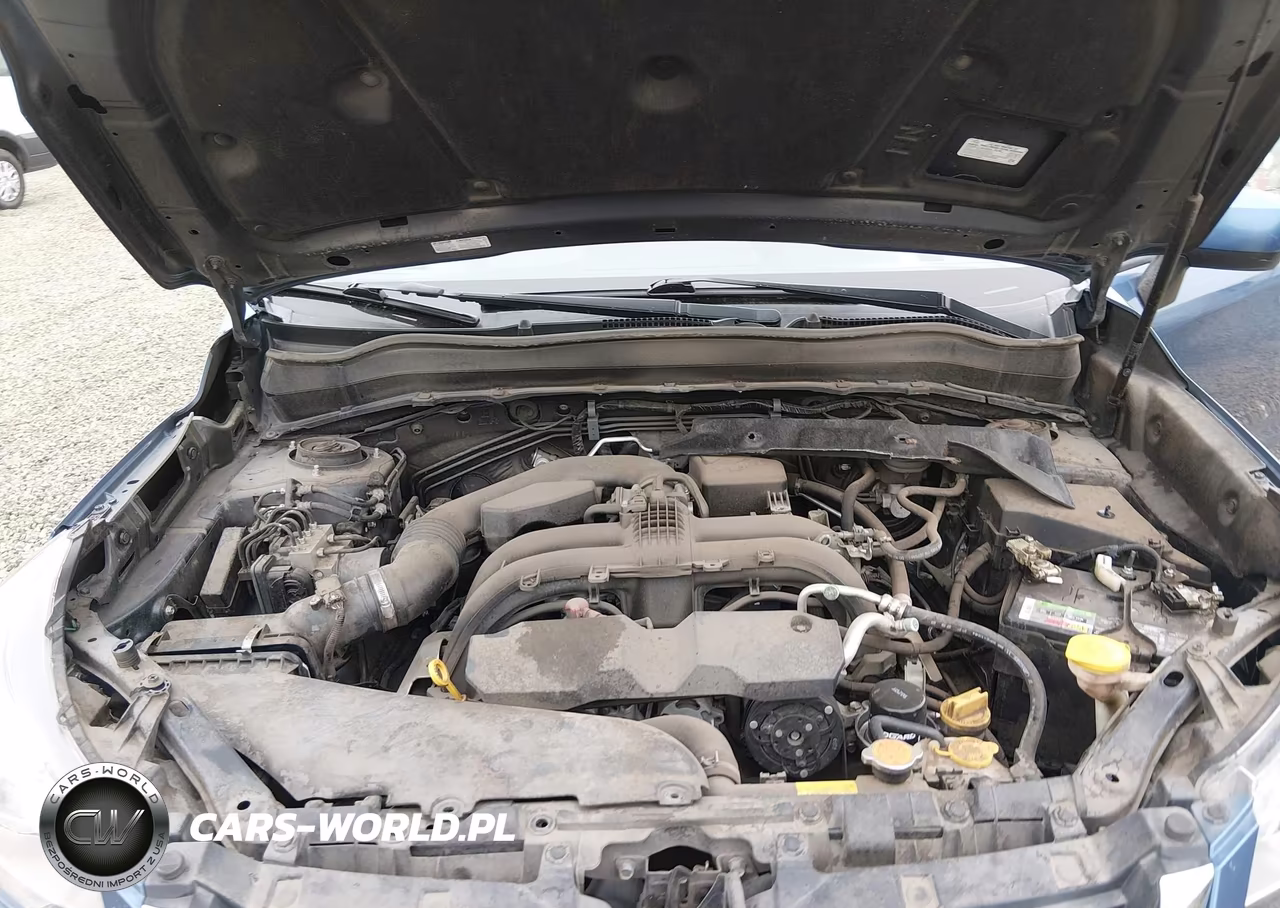 2017 Subaru Forester 2.5I Premium VIN:JF2SJAGC5HH443464 - 10
