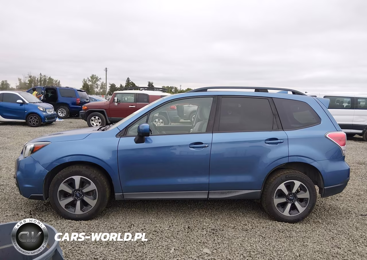 2017 Subaru Forester 2.5I Premium VIN:JF2SJAGC5HH443464 - 15