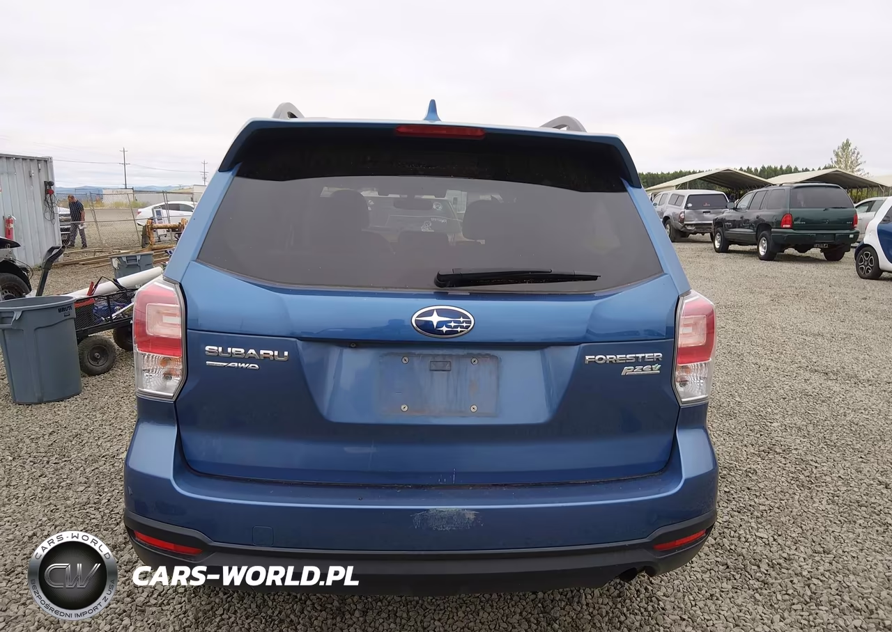 2017 Subaru Forester 2.5I Premium VIN:JF2SJAGC5HH443464 - 17