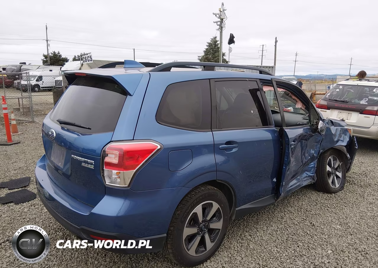 2017 Subaru Forester 2.5I Premium VIN:JF2SJAGC5HH443464 - 4