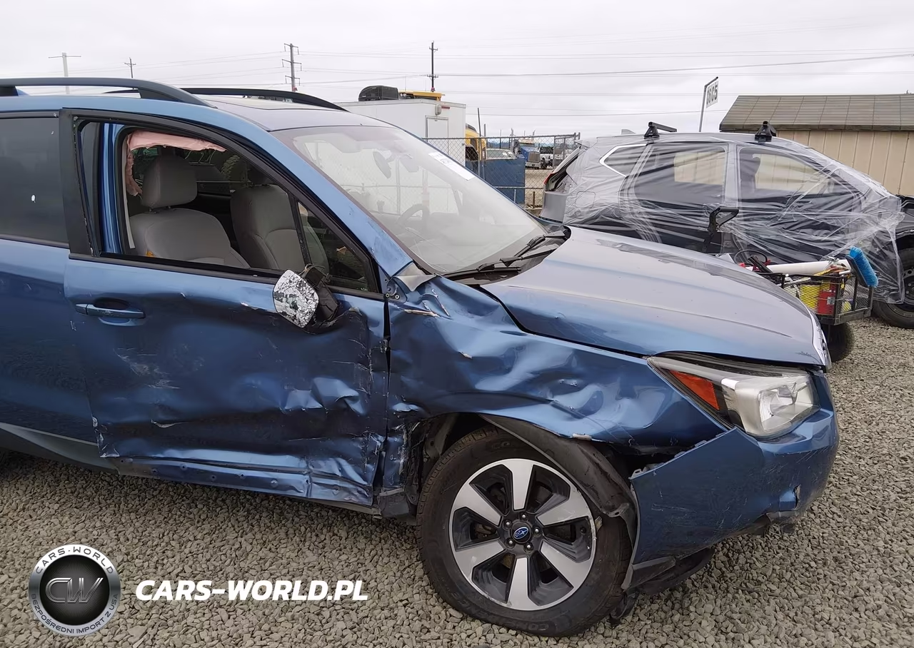 2017 Subaru Forester 2.5I Premium VIN:JF2SJAGC5HH443464 - 6