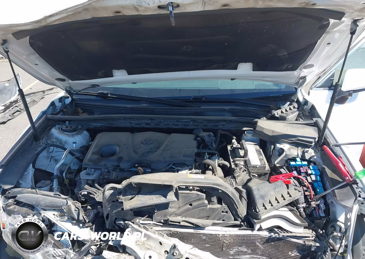 2019 Toyota Camry Le VIN:4T1B11HK3KU823885 - 10