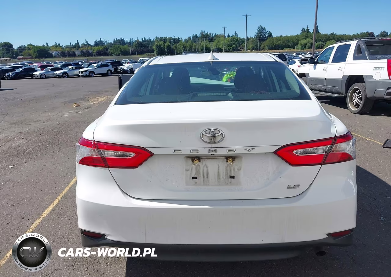 2019 Toyota Camry Le VIN:4T1B11HK3KU823885 - 17