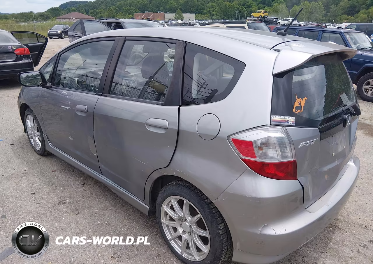 2010 Honda Fit Sport VIN:JHMGE8H42AC018911 - 6
