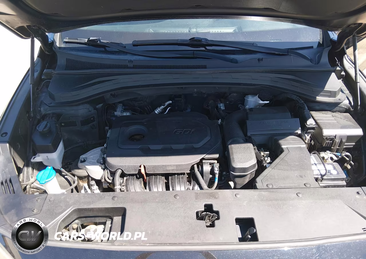 2019 Hyundai Santa Fe Se VIN:5NMS2CADXKH003206 - 10