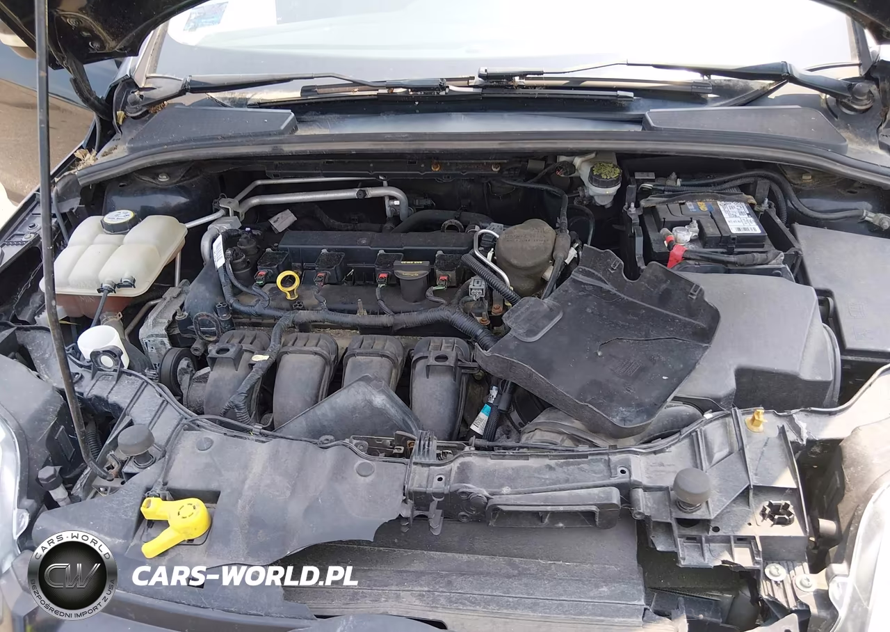 2013 Ford Focus Se VIN:1FADP3F20DL308156 - 10