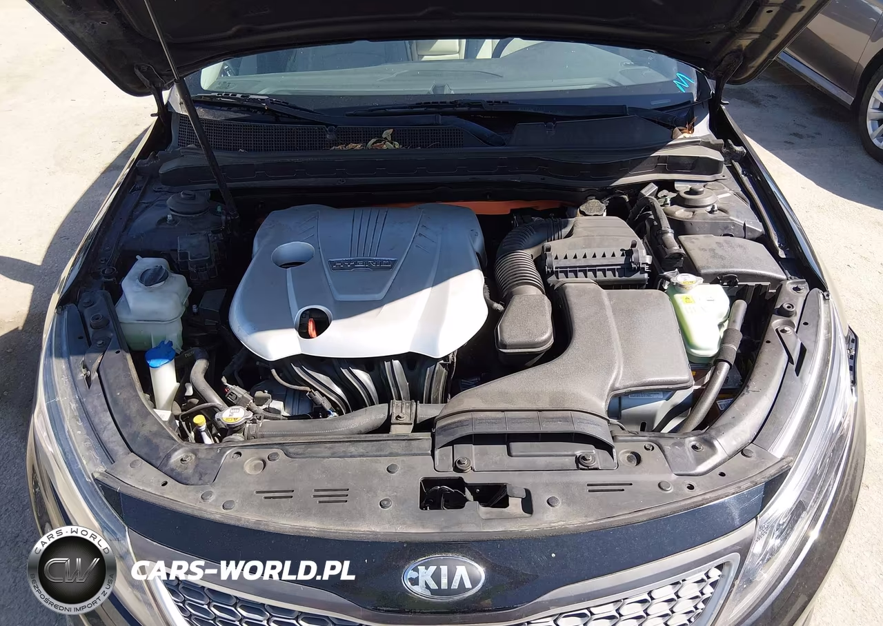 2014 Kia Optima Hybrid Ex VIN:KNAGN4AD8E5069826 - 10