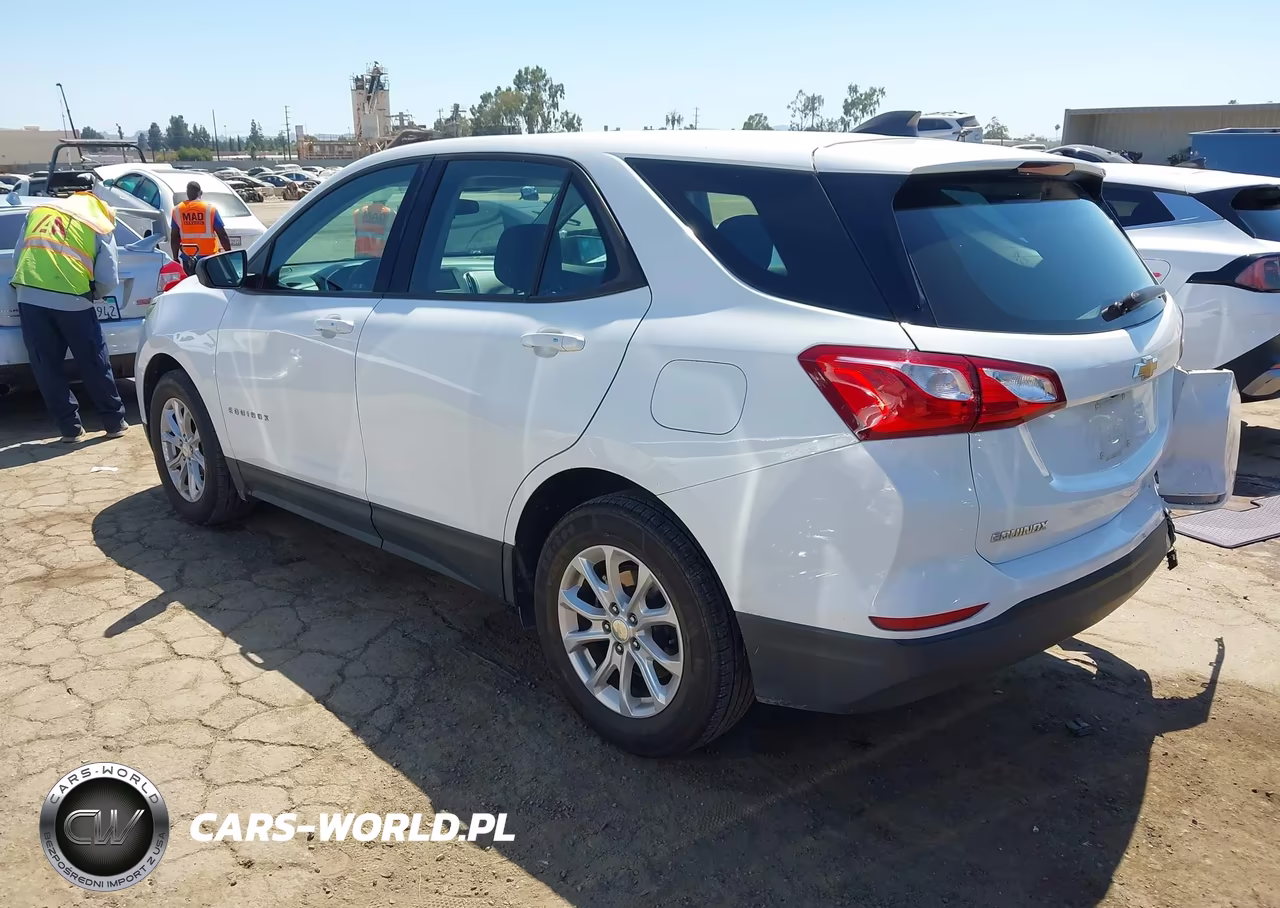 2019 Chevrolet Equinox Ls VIN:3GNAXHEV2KS676407 - 3