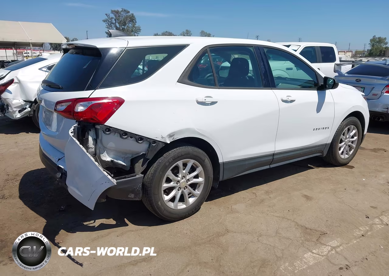 2019 Chevrolet Equinox Ls VIN:3GNAXHEV2KS676407 - 4