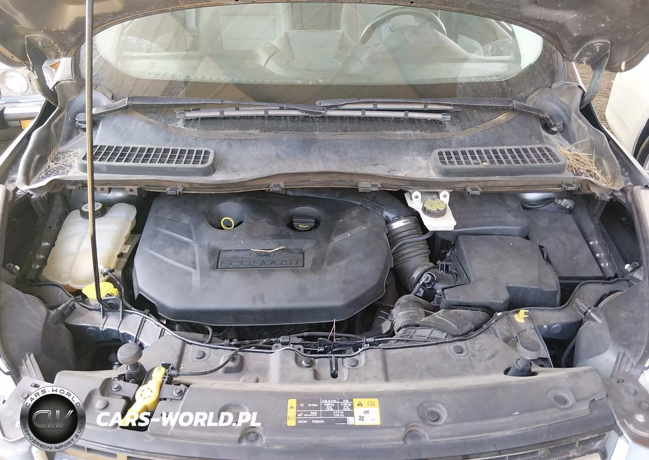 2014 Ford Escape Titanium VIN:1FMCU9J99EUA19161 - 10