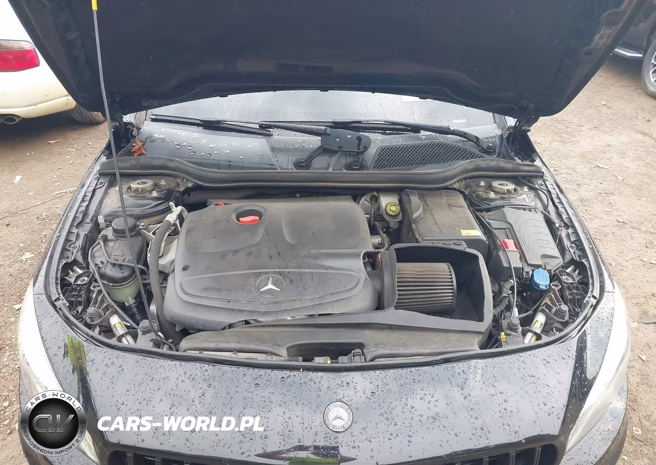 2014 Mercedes-Benz Cla 250 VIN:WDDSJ4EB4EN035986 - 10
