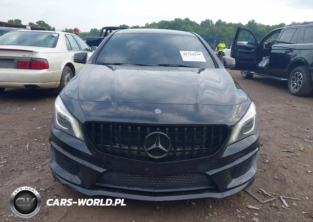 2014 Mercedes-Benz Cla 250 VIN:WDDSJ4EB4EN035986 - 12