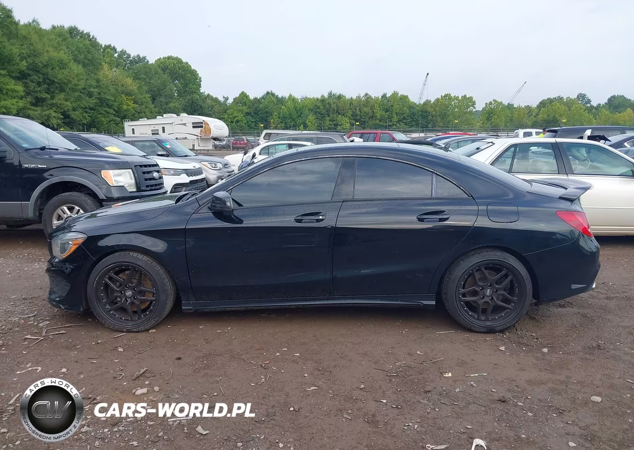 2014 Mercedes-Benz Cla 250 VIN:WDDSJ4EB4EN035986 - 14