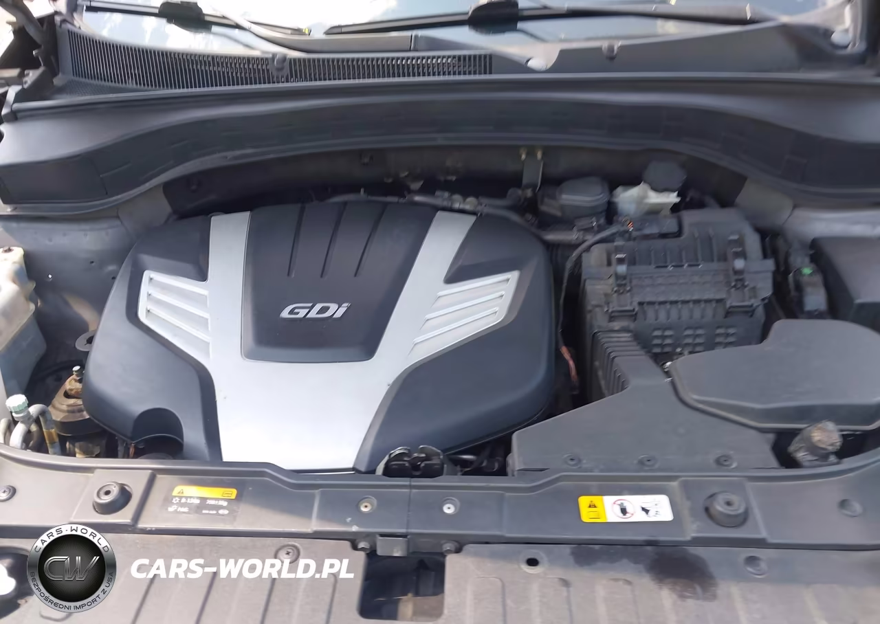 2014 Kia Sorento Ex V6 VIN:5XYKUDA77EG491152 - 10