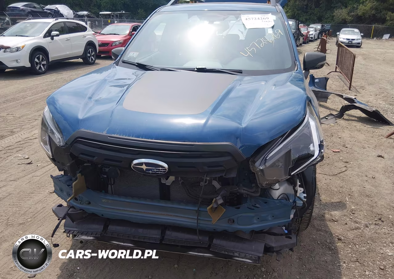 2022 Subaru Forester Wilderness VIN:JF2SKAMC7NH517187 - 13