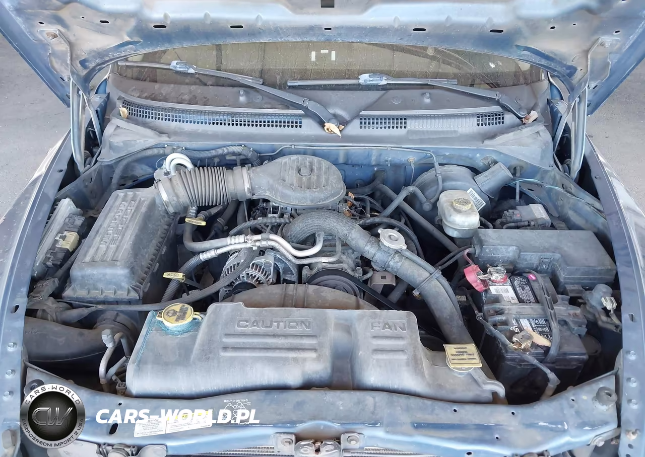 2002 Dodge Dakota Sport VIN:1B7GL32X12S717970 - 10