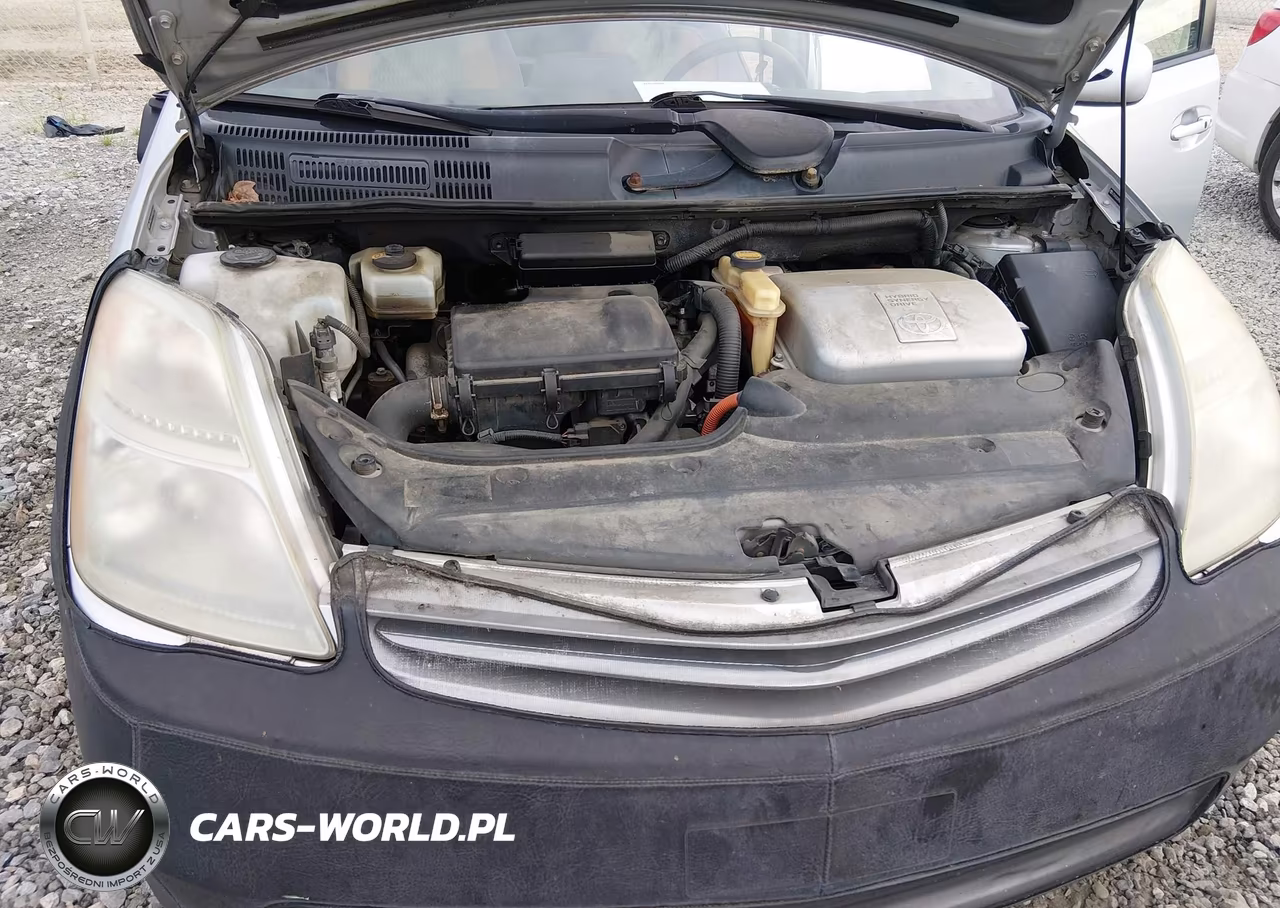 2009 Toyota Prius VIN:JTDKB20U893504163 - 10