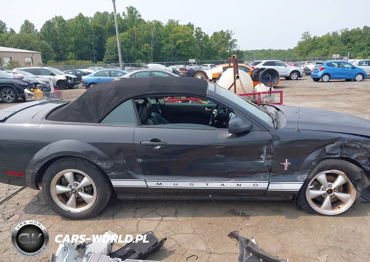 2007 Ford Mustang V6 Deluxe-V6 Premium VIN:1ZVHT84N475356105 - 13