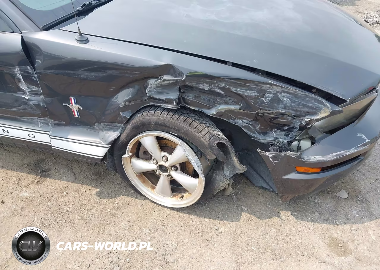 2007 Ford Mustang V6 Deluxe-V6 Premium VIN:1ZVHT84N475356105 - 6