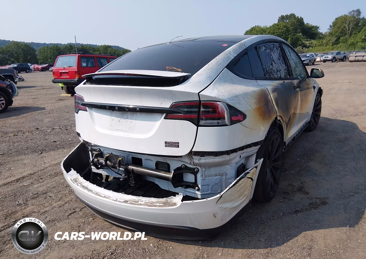 2024 Tesla Model X Plaid Tri Motor All-Wheel Drive VIN:7SAXCBE69RF448592 - 10