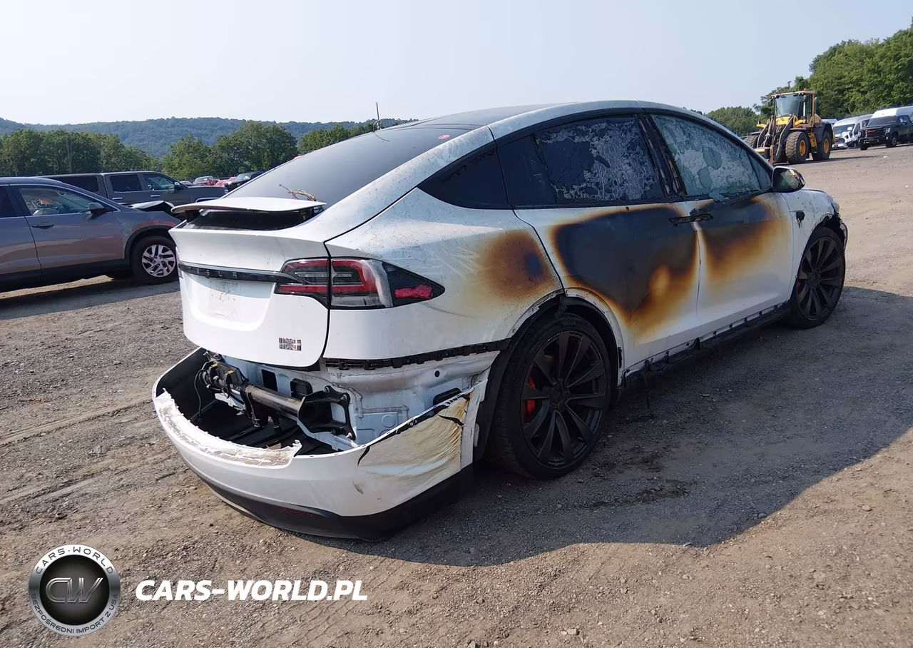 2024 Tesla Model X Plaid Tri Motor All-Wheel Drive VIN:7SAXCBE69RF448592 - 4